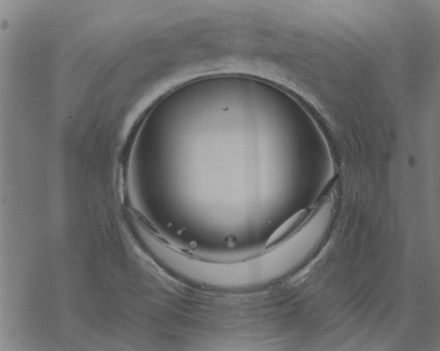 X0000077391510200611031948