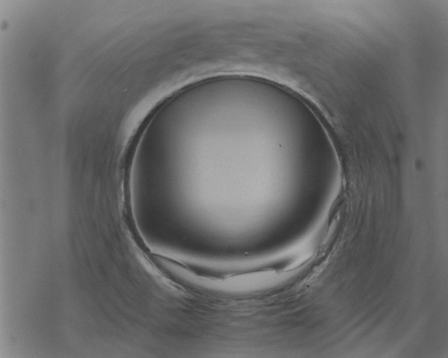 X0000077391511200611031948