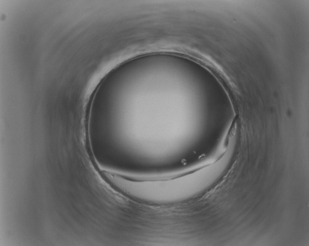 X0000077391512200611031948