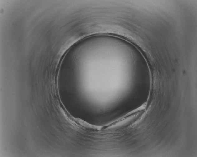 X0000077391513200611031948