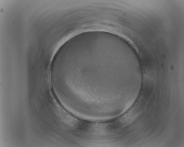 X0000077391514200611031948