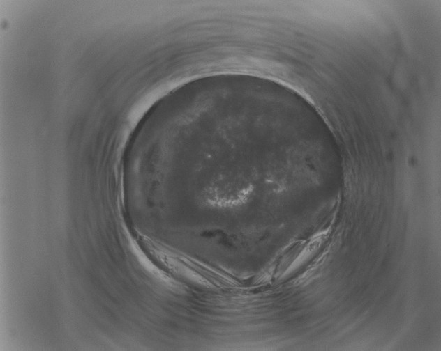 X0000077391515200611031948