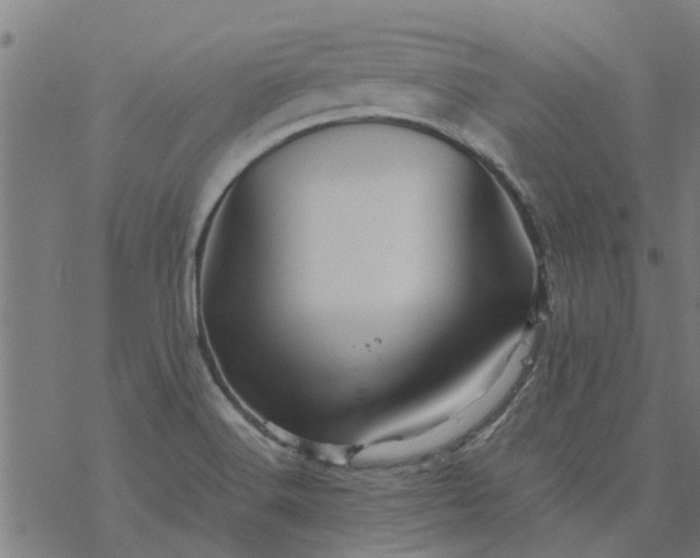 X0000077391516200611031948