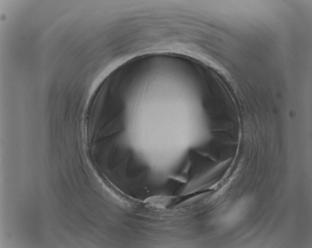 X0000077391517200611031948