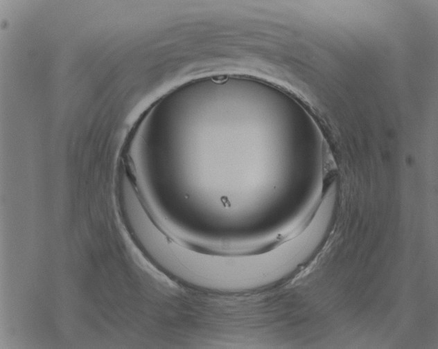 X0000077391518200611031948