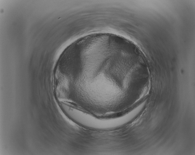 X0000077391519200611031948