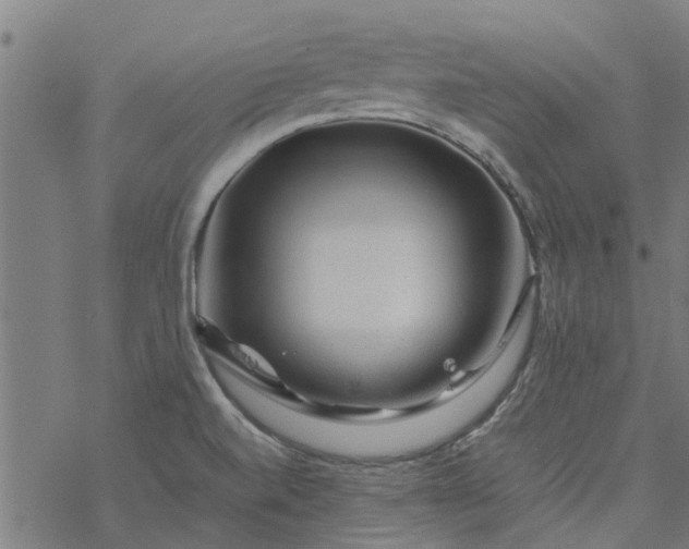 X0000077391520200611031948