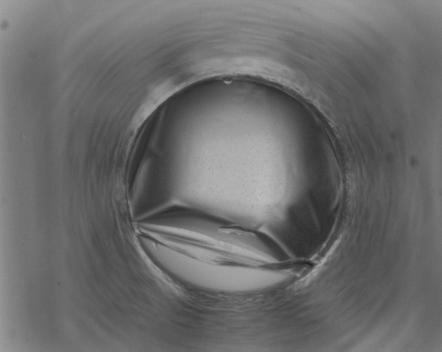 X0000077391521200611031949