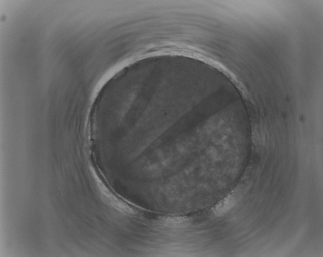 X0000077391522200611031949