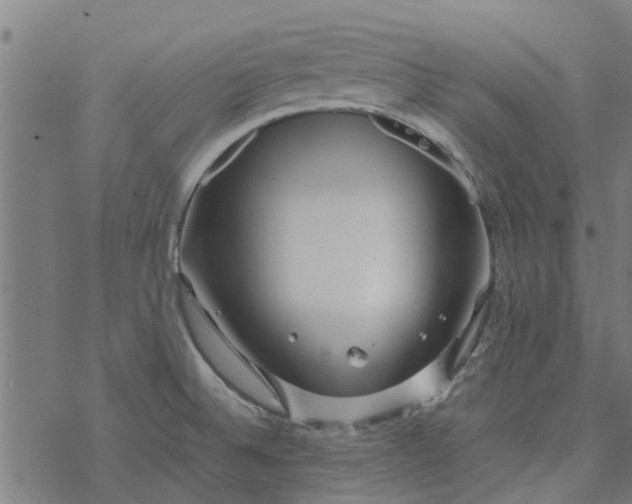 X0000077391524200611031949