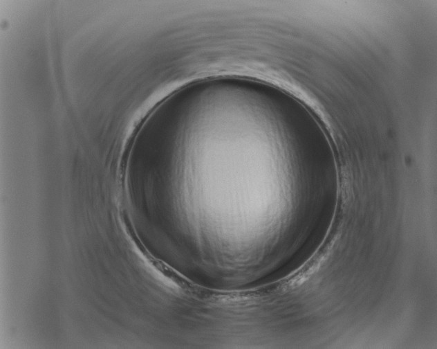 X0000077391525200611031949