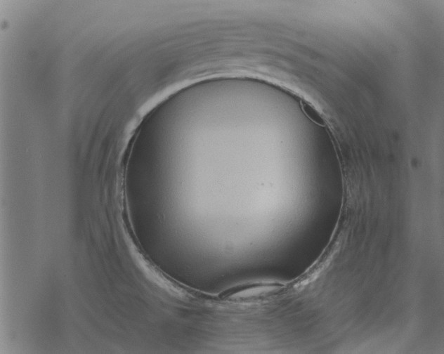 X0000077391526200611031949