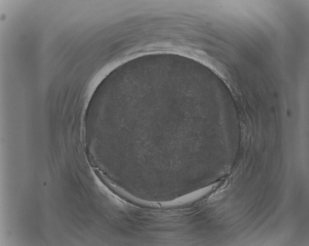 X0000077391527200611031949