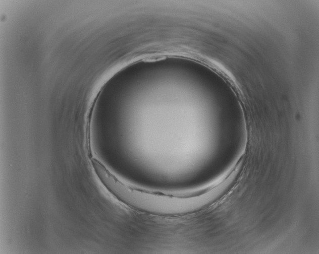 X0000077391528200611031949