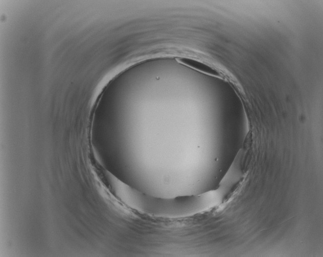 X0000077391530200611031949