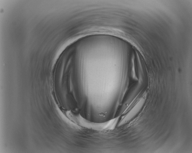 X0000077391531200611031949