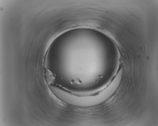 X0000077391532200611031949