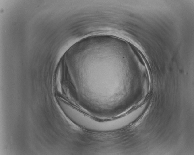 X0000077391533200611031949