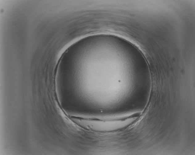 X0000077391534200611031949