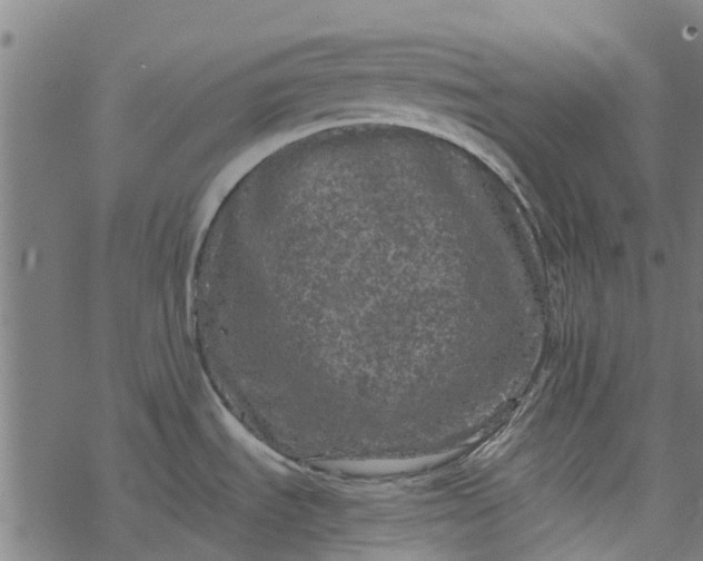 X0000077391535200611031949