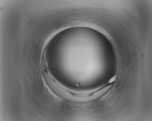 X0000077391536200611031949