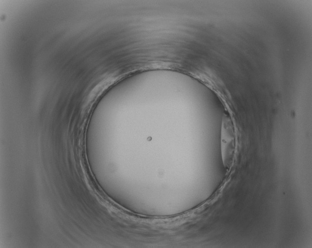 X0000077390001200611101806