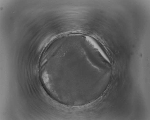 X0000077390002200611101806