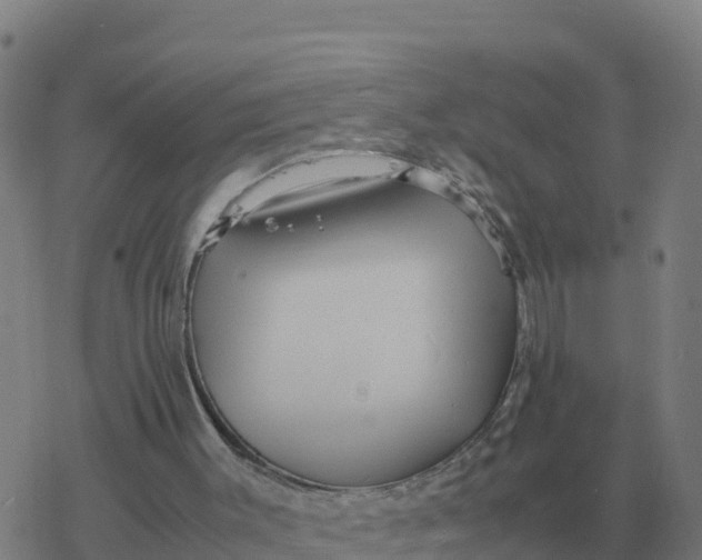 X0000077390003200611101806