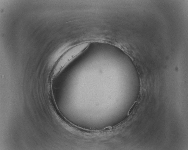 X0000077390005200611101806