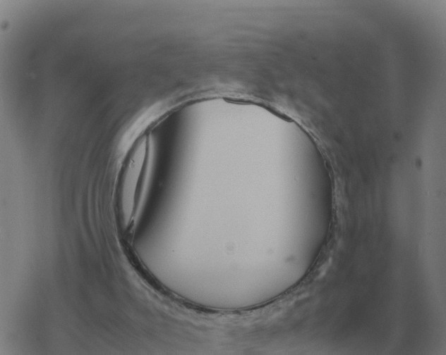 X0000077390007200611101806