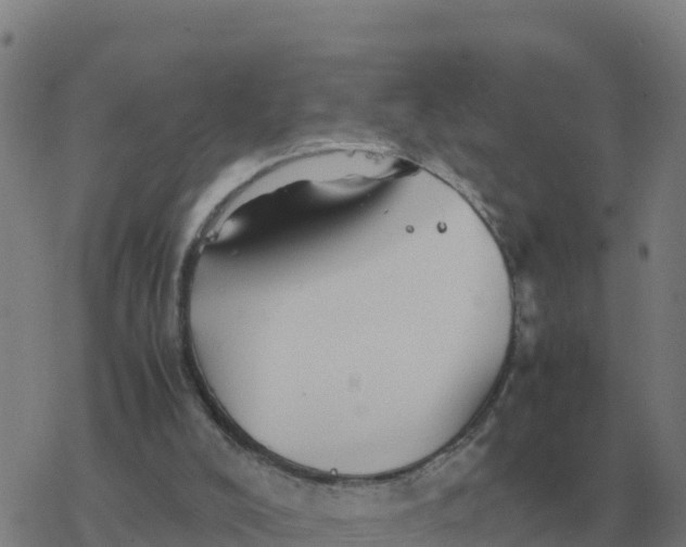 X0000077390008200611101806