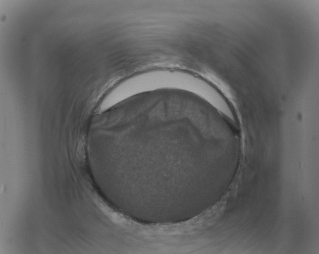 X0000077390009200611101806