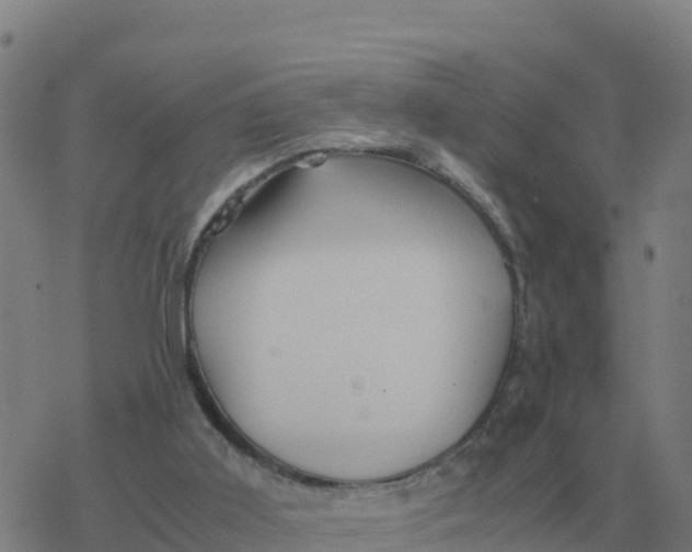 X0000077390011200611101806