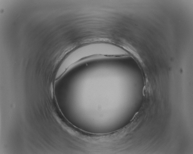 X0000077390013200611101806