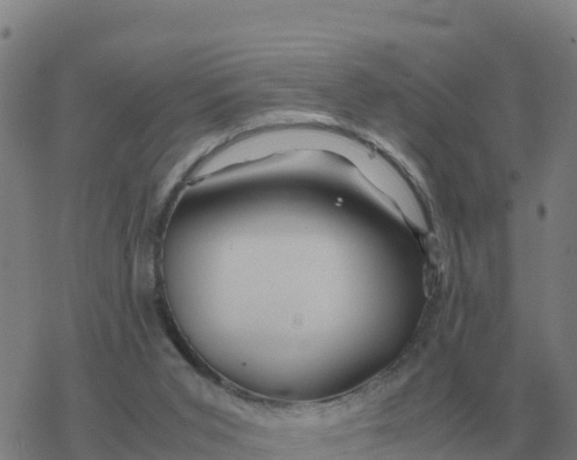 X0000077390015200611101806