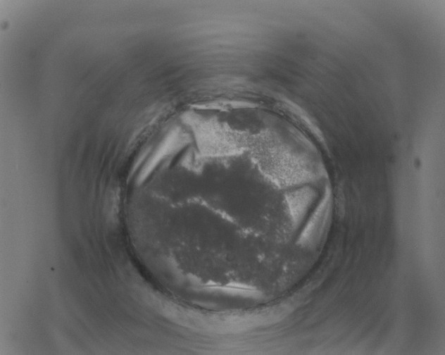 X0000077390018200611101806