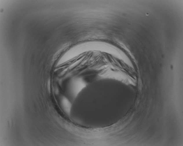 X0000077390019200611101806