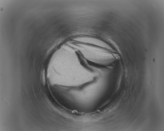 X0000077390020200611101806