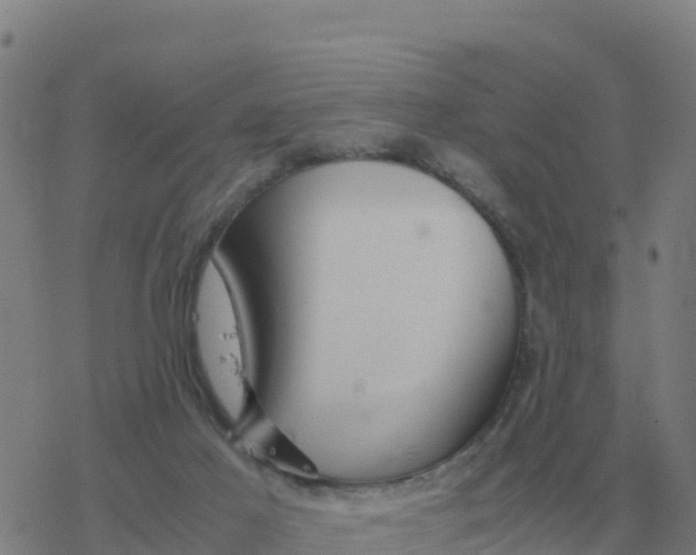 X0000077390021200611101806