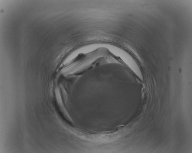 X0000077390023200611101806