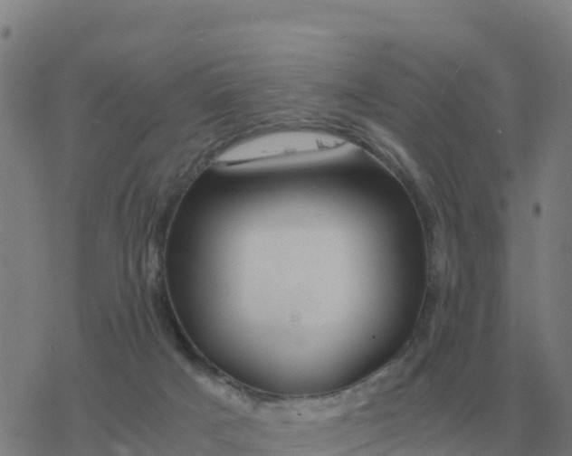 X0000077390025200611101806