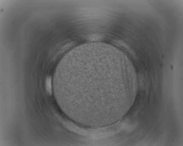 X0000077390028200611101806