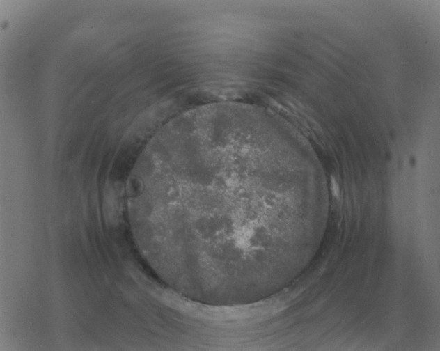 X0000077390030200611101805