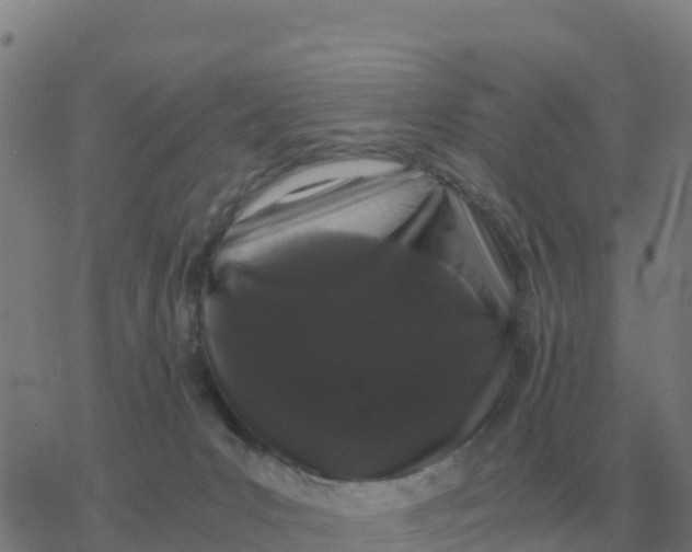 X0000077390031200611101805