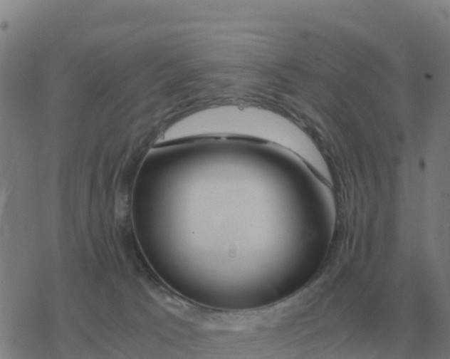 X0000077390033200611101805