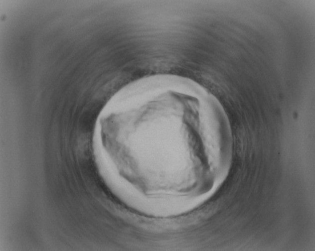 X0000077390034200611101805