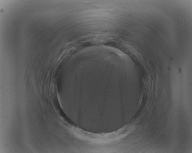 X0000077390035200611101805