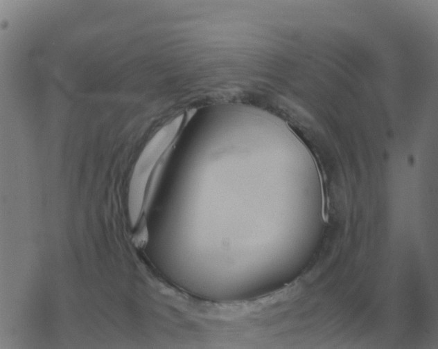 X0000077390037200611101805