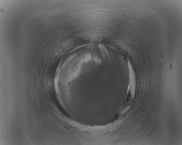 X0000077390039200611101805