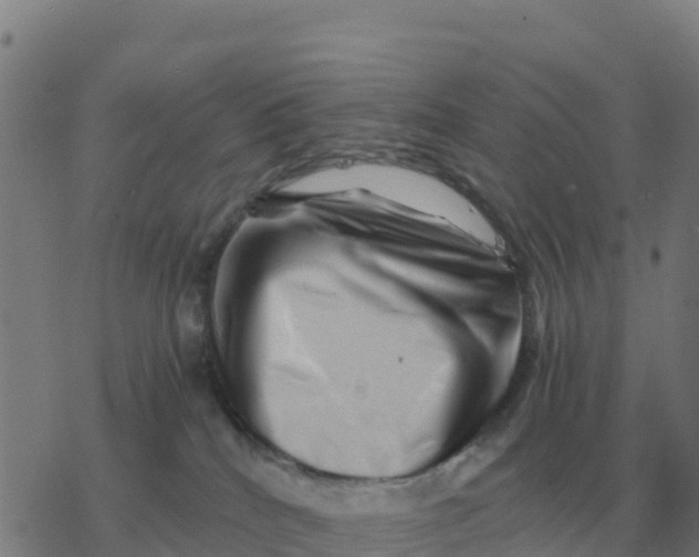 X0000077390040200611101805